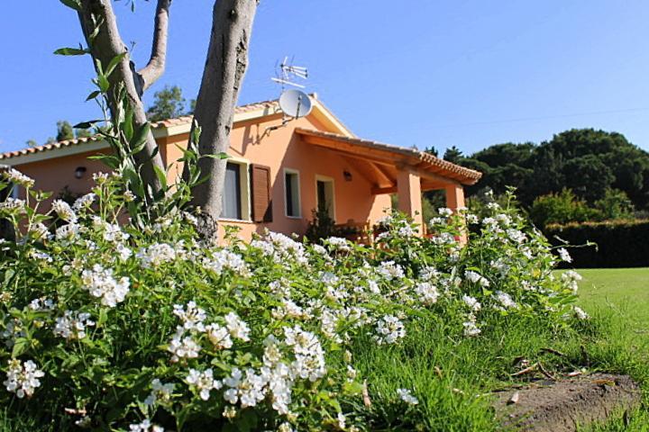 Il Melograno Di Nora Bed & Breakfast Pula Bagian luar foto